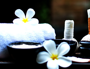 オイルトリートメント画像3